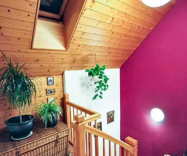 Jobling's * 인터라켄