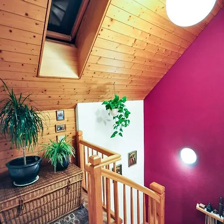 Jobling's * インターラーケン